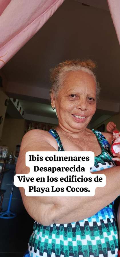 Ibis Colmenares