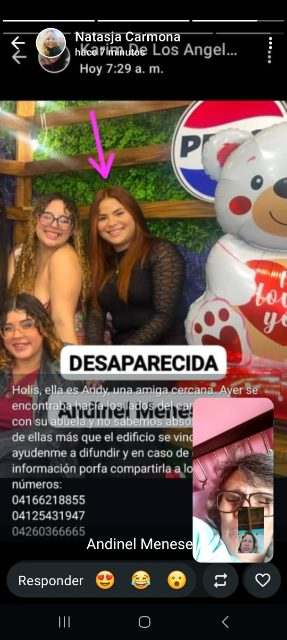 Andinel Meseses