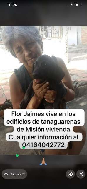 Flor Jaime