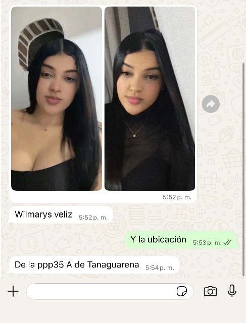 Wilmarys Veliz