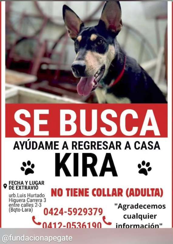 Kira